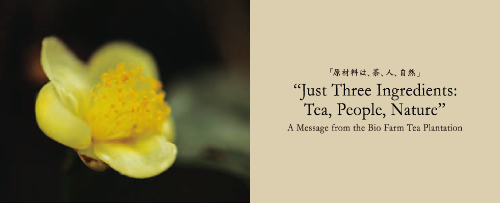 A Message from the Bio Farm Tea Plantation Just Three Ingredients: Tea, People, Nature