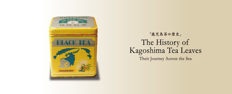 The History of Kagoshima Tea Leaves Their Journey Across the Sea